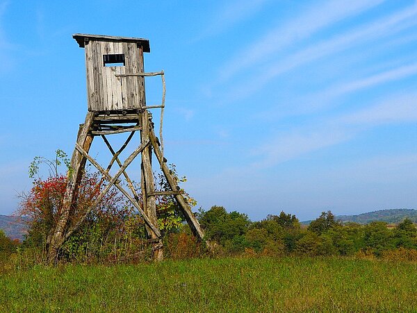 Hochsitz auf einer Wiese vor einem blauen Himmel