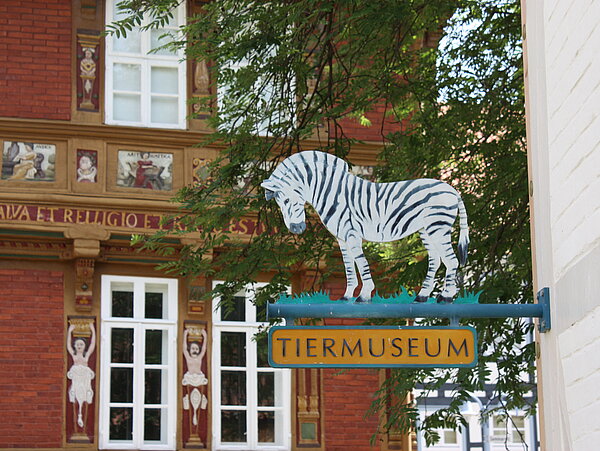 Das Tiermuseum © Archiv Stadt Alfeld