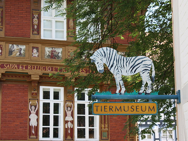 Das Tiermuseum © Archiv Stadt Alfeld